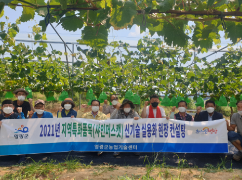 샤인컨설팅 이미지