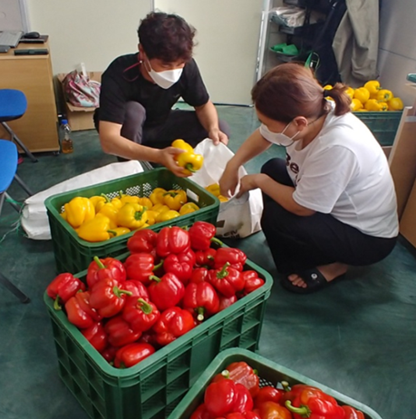 철원군농업기술쎈터 이미지