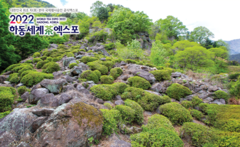 세계여행사 이미지