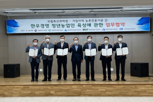 청년한우 이미지
