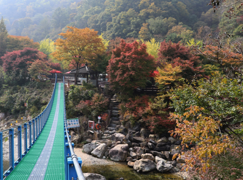 장령산자연휴양림 이미지
