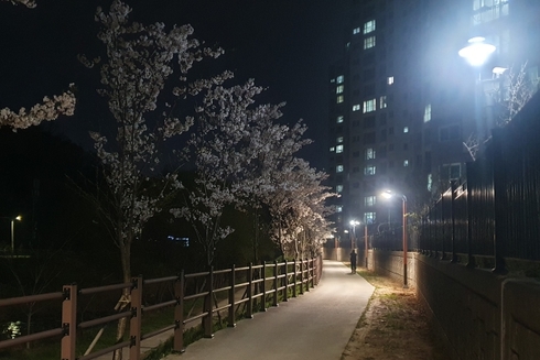 도서관가는길 이미지