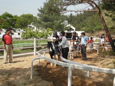 대전승마장 이미지