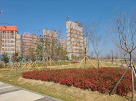 골든코스트 이미지