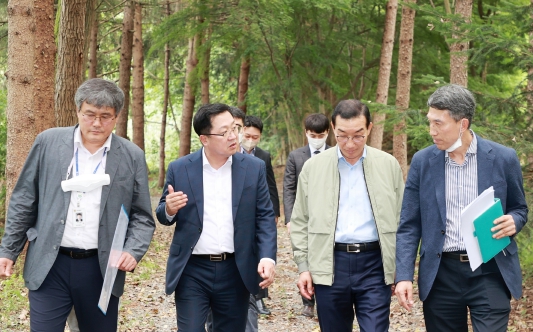 보문산 이미지