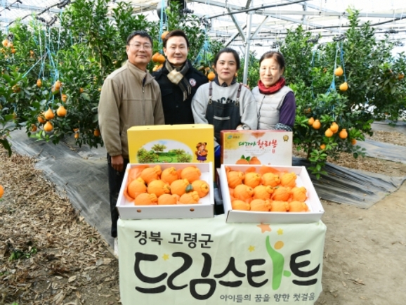 트리앤팜 이미지