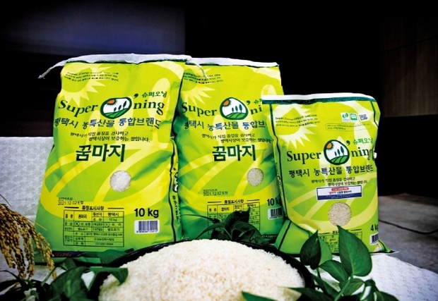 마지 이미지
