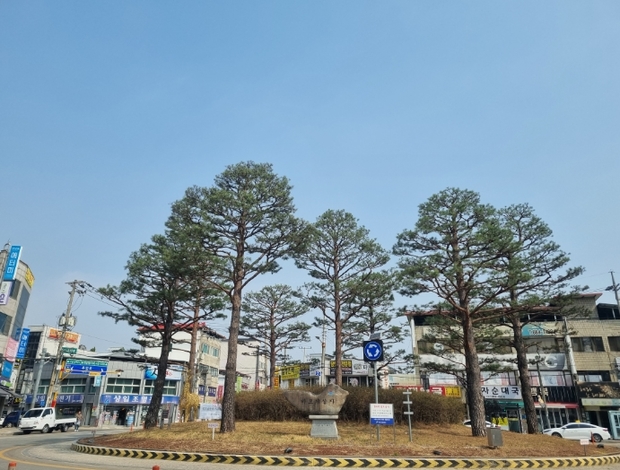 수목관리 이미지