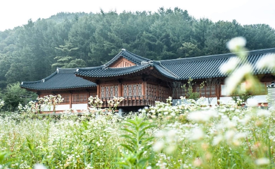 대승한지마을 이미지