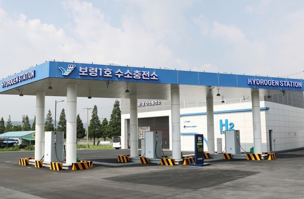 보령1호 이미지