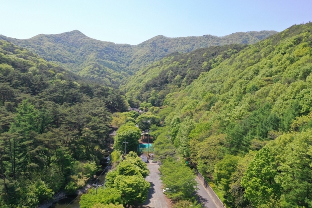 만수산자연휴양림 이미지