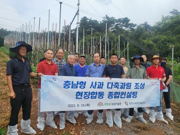 미래컨설팅 이미지