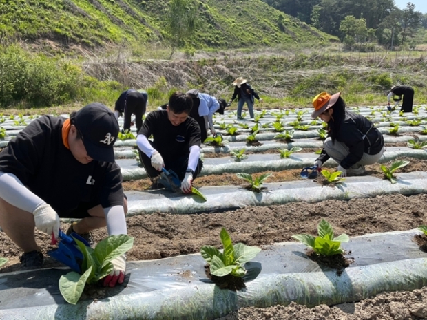 화천군청 이미지