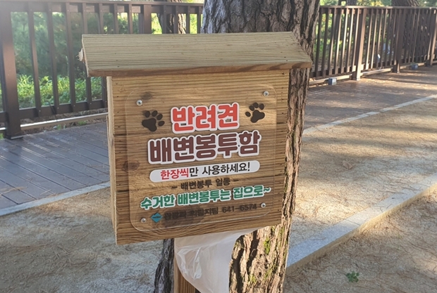 솔밭 이미지