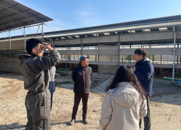 청년축산 이미지