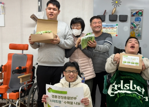 그린종합 이미지