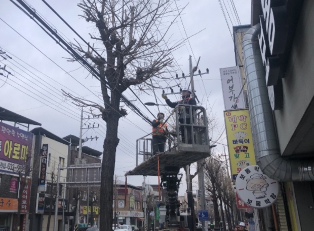 가로수 이미지