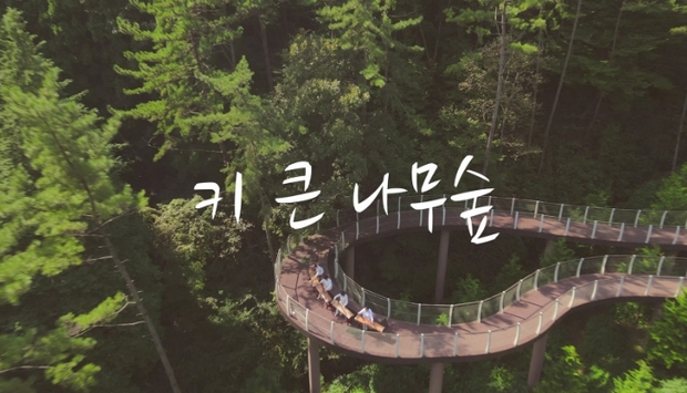 나무뮤직 이미지
