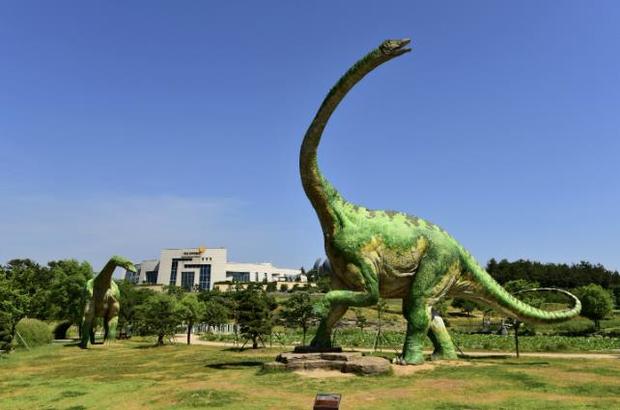 공룡탐험대 이미지