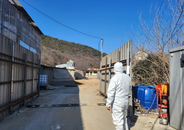 대상축산 이미지