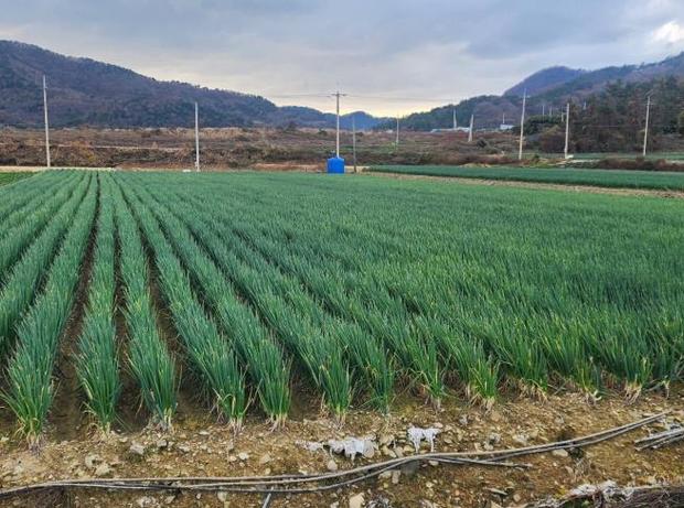 지주 이미지