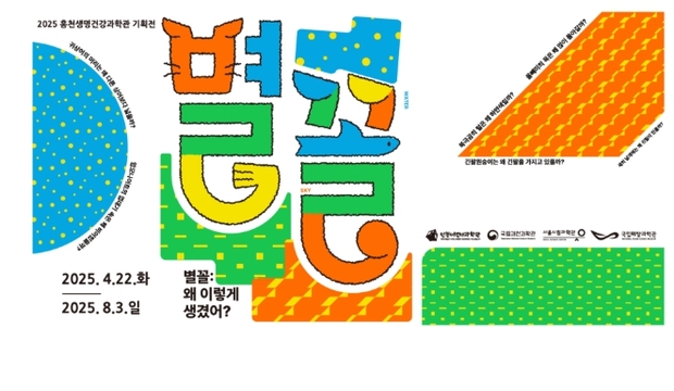 홍천기획 이미지