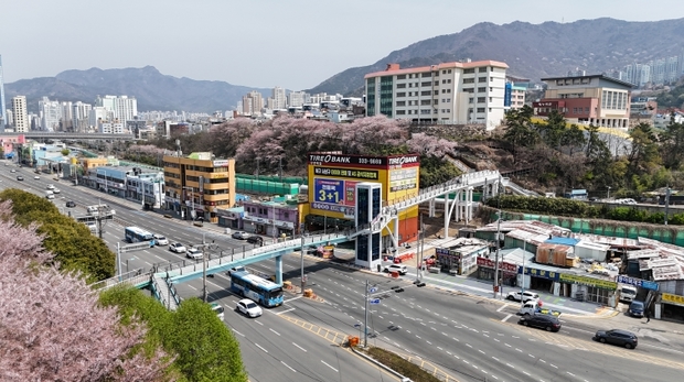 야시 이미지