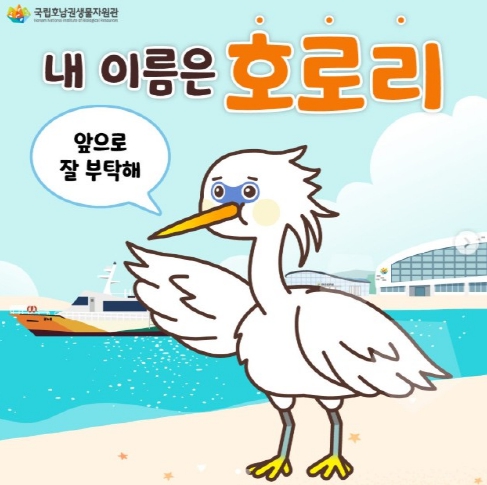 누구나자유 이미지