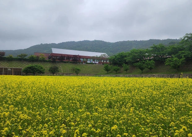 충청북도자치연수원 이미지