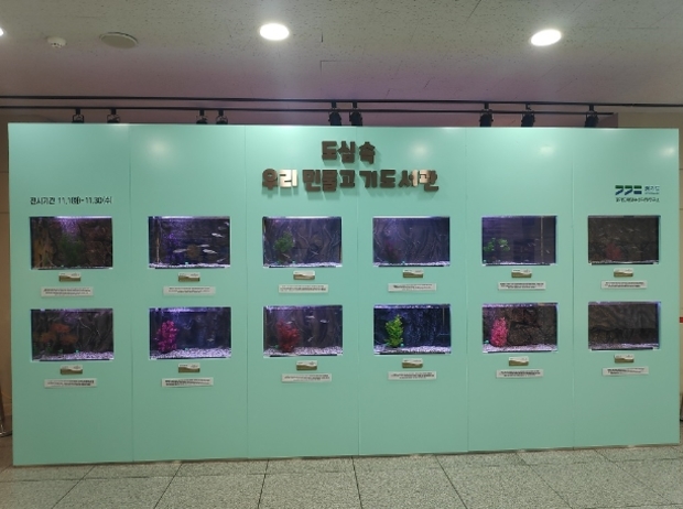 경기도, 올해 성남, 포천 등 8개 시에서 도심 속 민물고기 이동도서관 운영