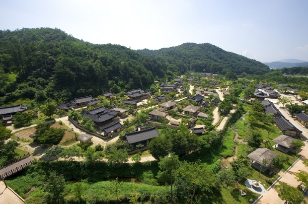 본문이미지